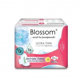 Blossom Day Use Ultra Thin Wing - Cottony Surface (20's x2)