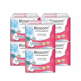 Blossom Day Use Ultra Thin Wing - Cottony Surface (20's x2)